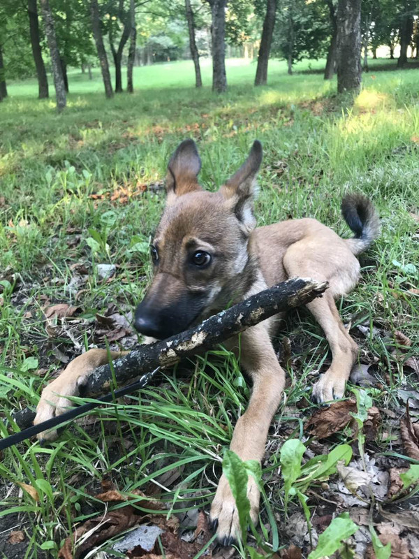 изображение_viber_2019-08-13_10-24-51