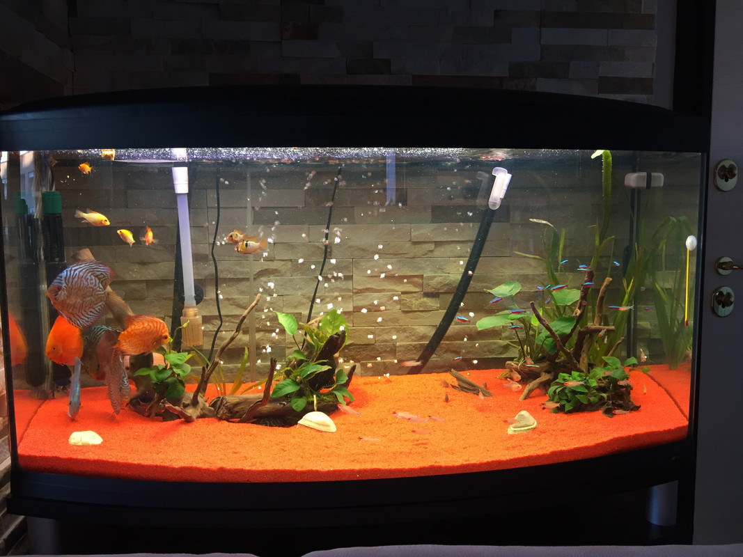 211662B7-556A-476B-A5BB-67702123D66C