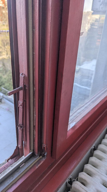 photo 6062318765073961431 y