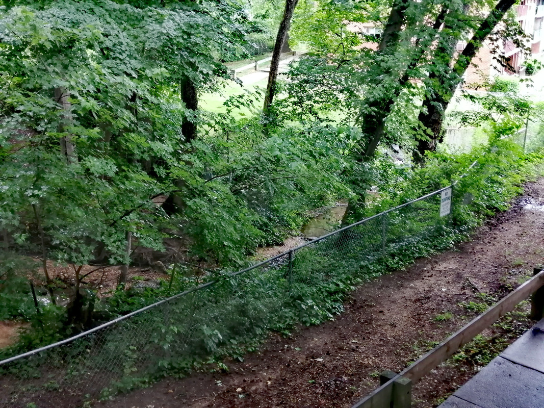 IMG_٢٠٢١٠٦١٠_١٥٢٣٠٣