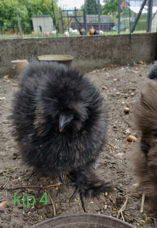 IMG_20190923_144001__01__01