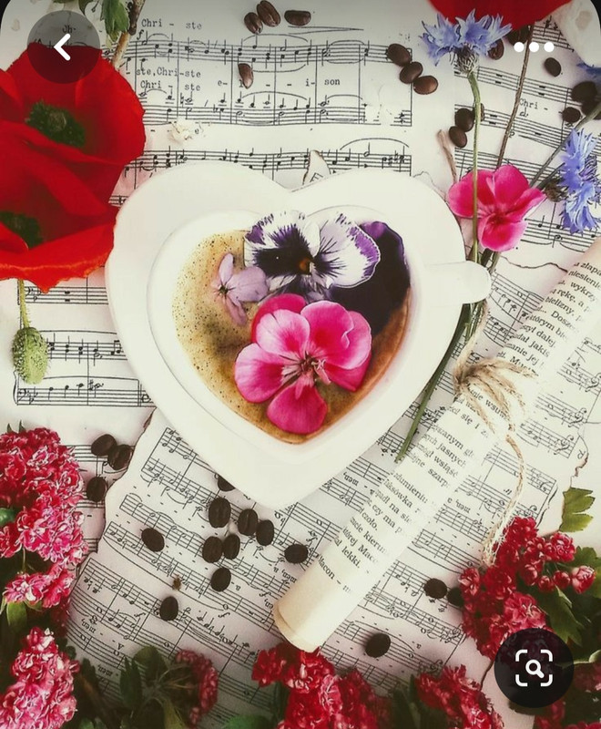 Screenshot_20230622_011414_Pinterest