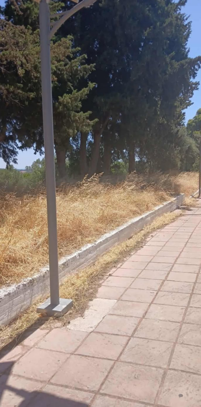 ΘΑ ΑΝΑΛΑΒΕΙ ΤΙΣ ΕΥΘΥΝΕΣ ΤΟΥ Ο ΔΗΜΟΣ;