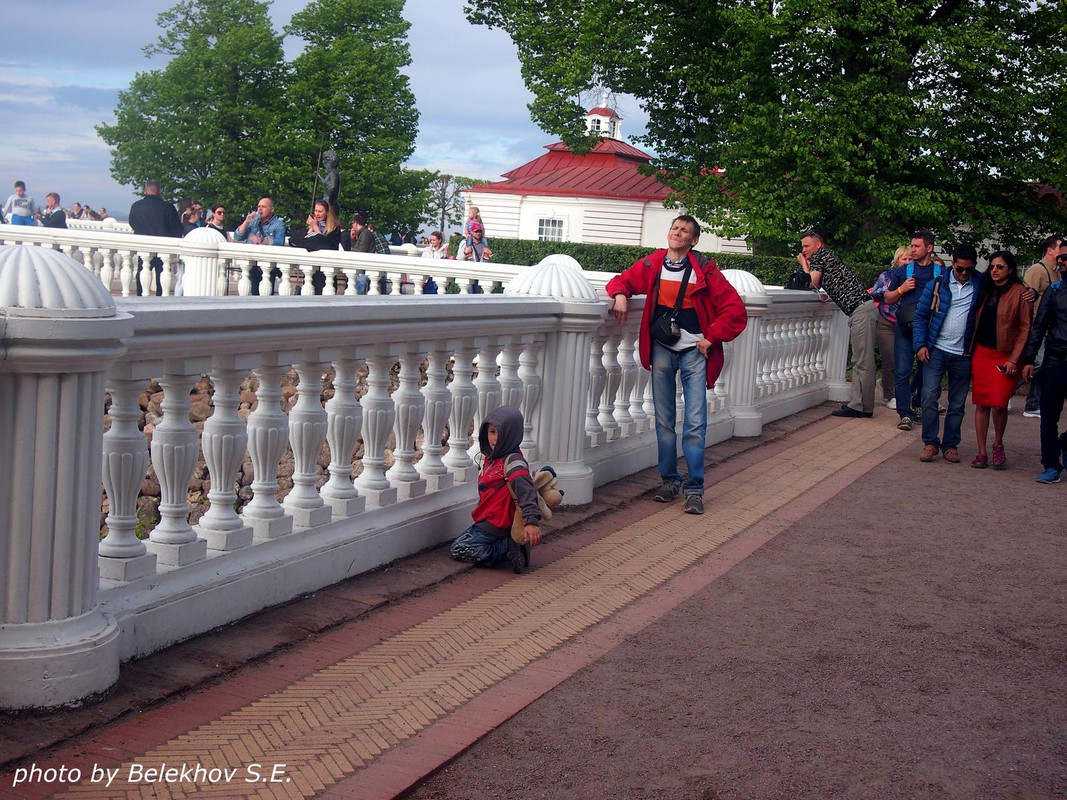 Петродворец, лето
