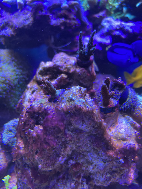 4D8329B5-CD6B-46B2-AC6C-8A6BE06B7ABF