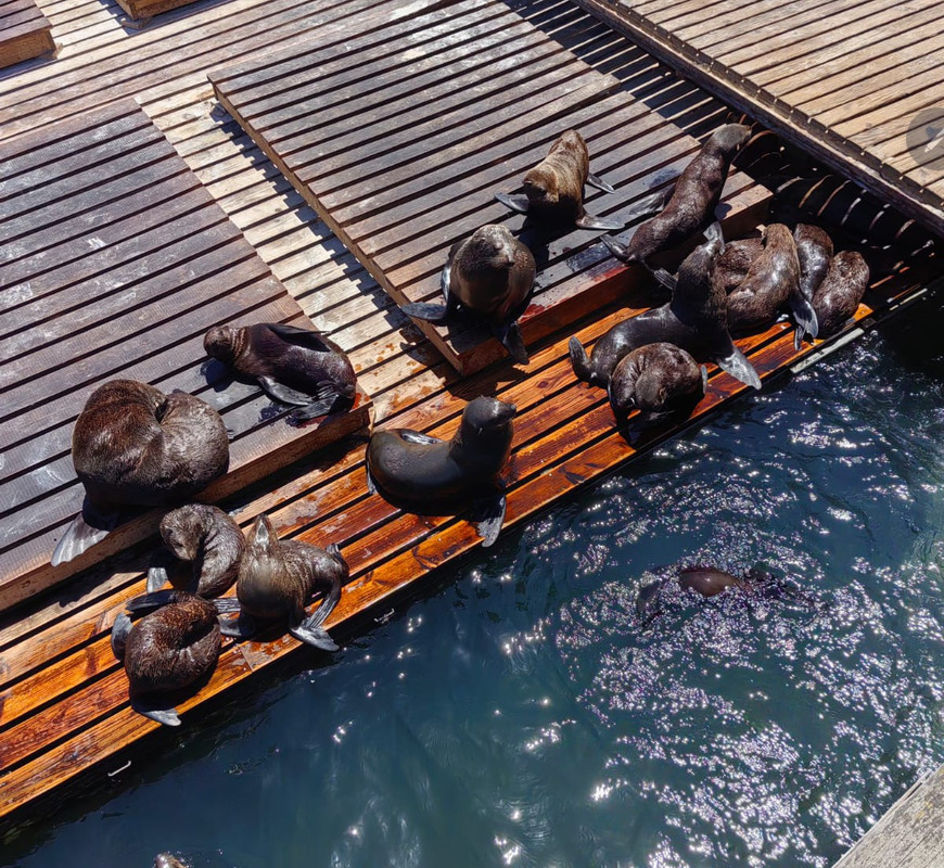 Screenshot_20250206-130254~2