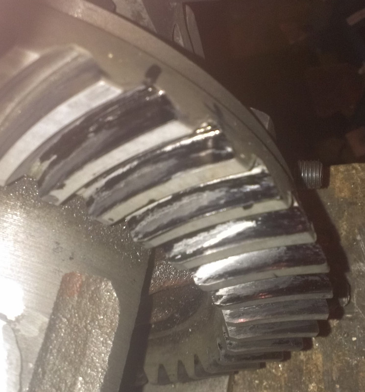 IMAG2013контакт