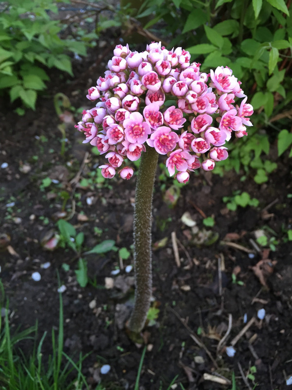 2C3305FA-008B-4119-A61E-11F53DE30CB1