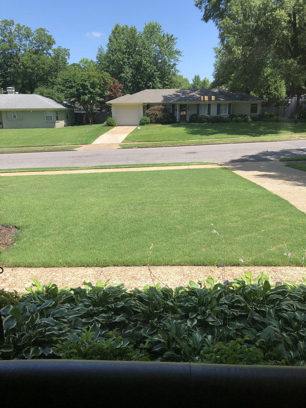 June 26th front yard