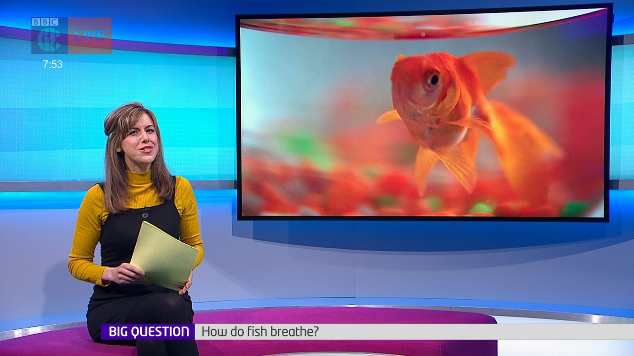 Newsround_20220419_07450755.ts_snapshot_09.16.000