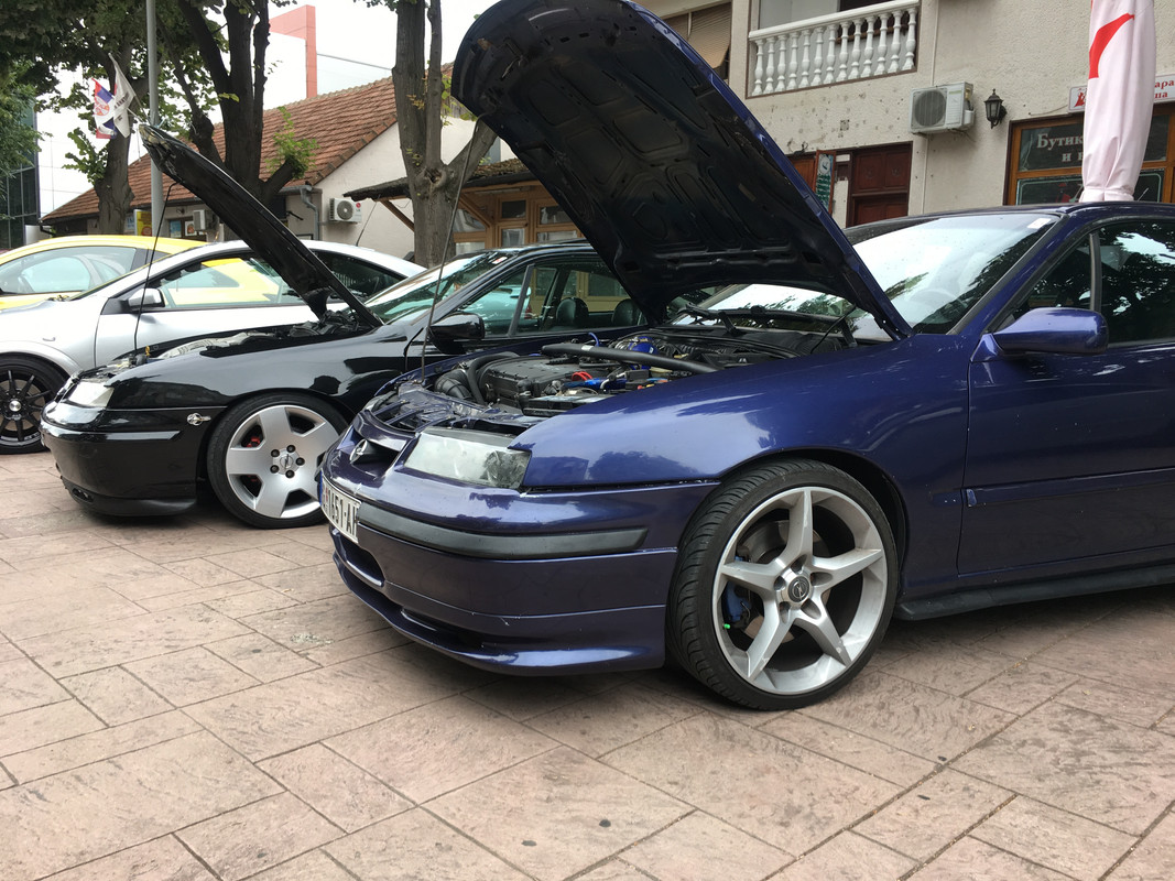 C6F8E206-66AE-4B56-84BE-93FEFAAF1636