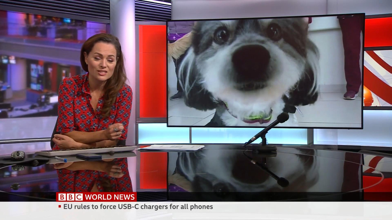09.24 - 06.00.00 - Bbc World News. News. Reporting On The Day's Inter...-1.m4v_snapshot_25.27_[2021.