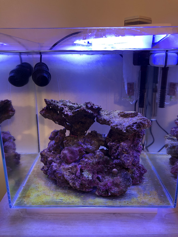 714E690F-91CA-4C5E-ACE0-AA5603560CC7