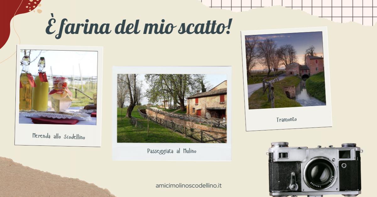 Mulino Scodellino: Concorso fotografico “È farina del mio scatto”, scadenza 31 agosto Mulino Scodellino: Concorso fotografico “È farina del mio scatto”, scadenza 31 agosto