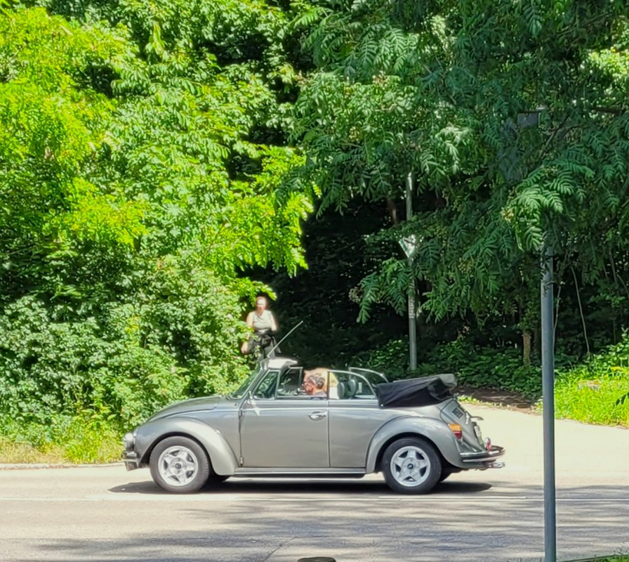 vw3331 (4)