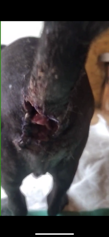 47384005-B564-4503-9F9A-817F6F9B28AA