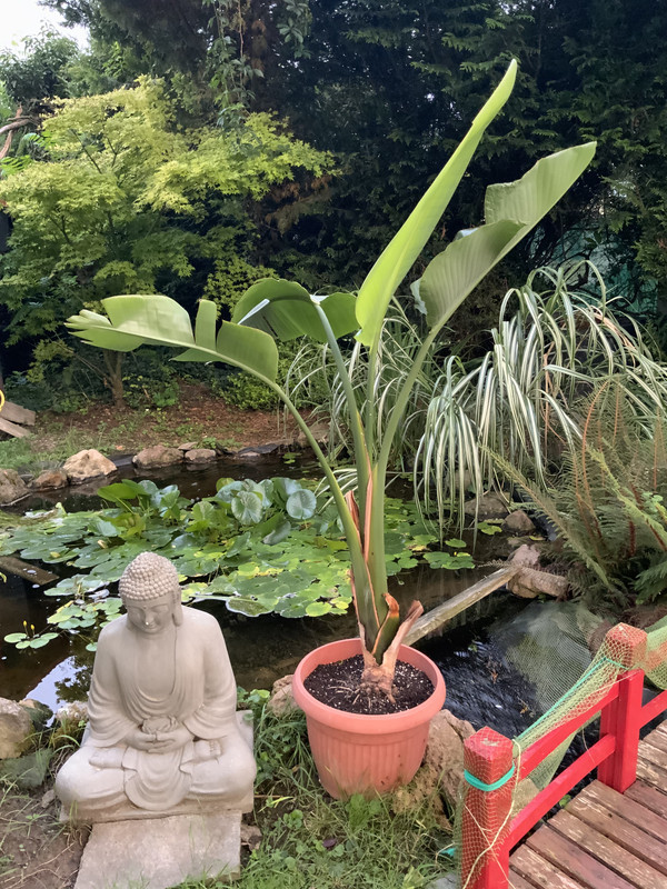 2847959B-9375-4462-820F-5C207899A96D