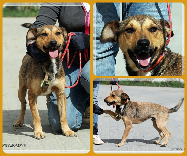 BeFunky-collage (19)