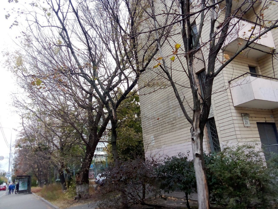 photo_2024-10-19 7.23.37 пп