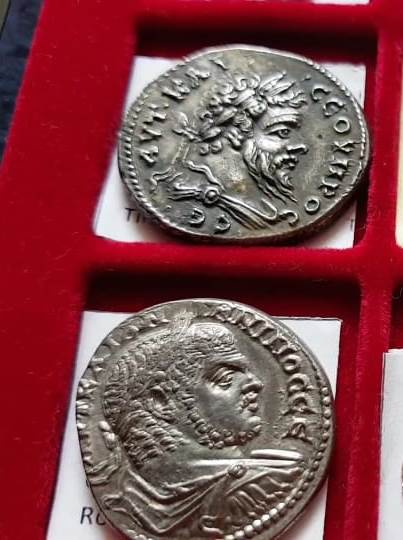 Whats-App-Image-2023-03-19-at-17-31-42.j