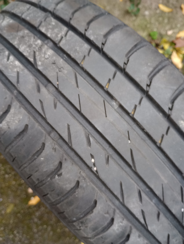 IMG 20251026 121902629