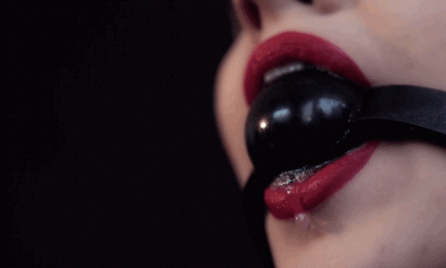 tumblr-p0vesl-W3E01wvnlnvo1-500.gif
