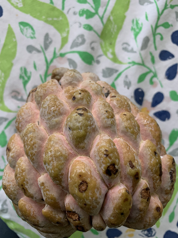 ABDF4D1A-1C75-4FEE-9CA2-E6C53BD3FD6D