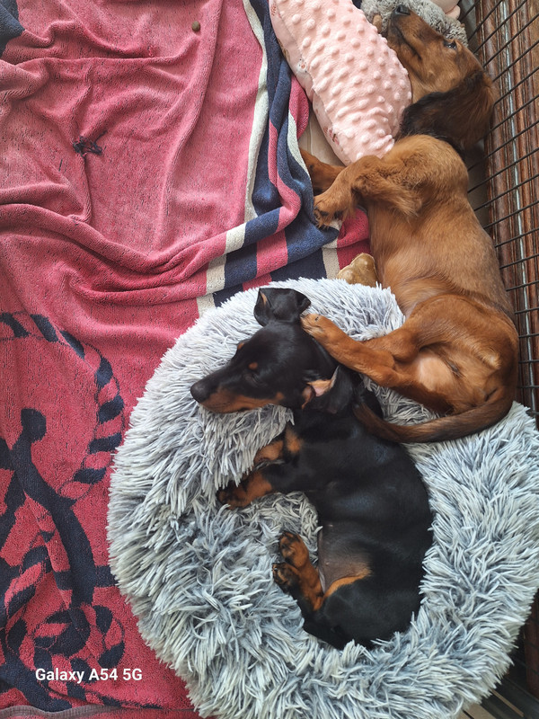 [Image: 20241008-132949.jpg]