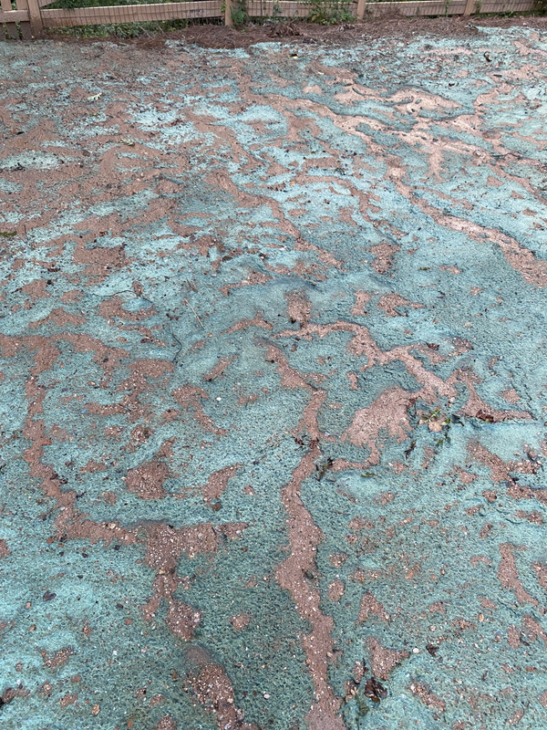 B4E0857F-285C-42BC-A21D-B9453551D953