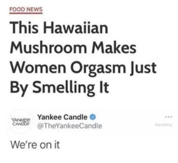 [Linked Image from i.postimg.cc]