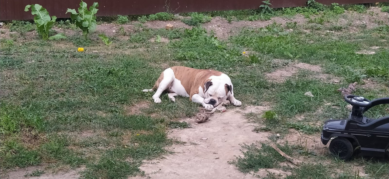 0E4E3FBF-6531-4E94-AE5C-FF112889EC47