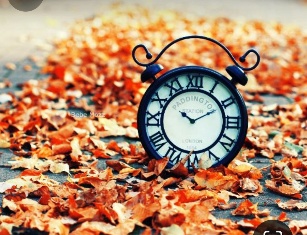 Screenshot_20231219_230422_Pinterest