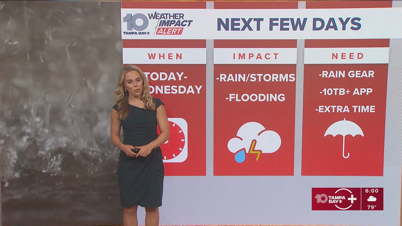10 Tampa Bay News This Morning at 600 a.m_20250908_11001200.ts_snapshot_02.07.541