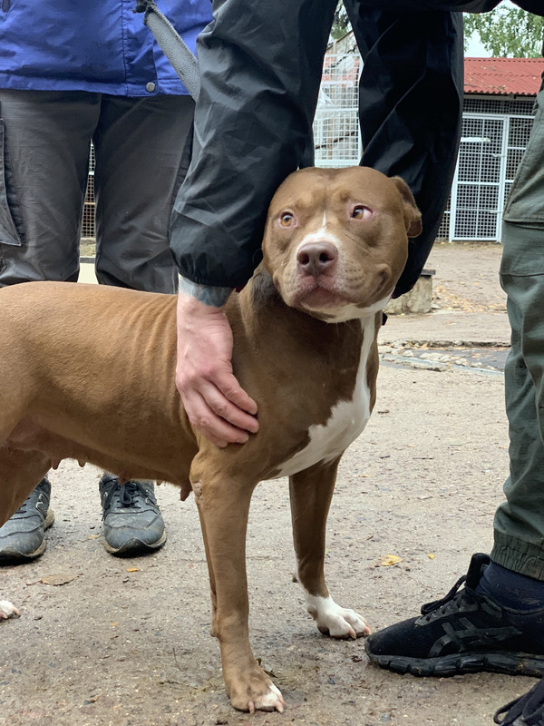 B671FB0A-C84F-4713-BAA2-007223337EF3