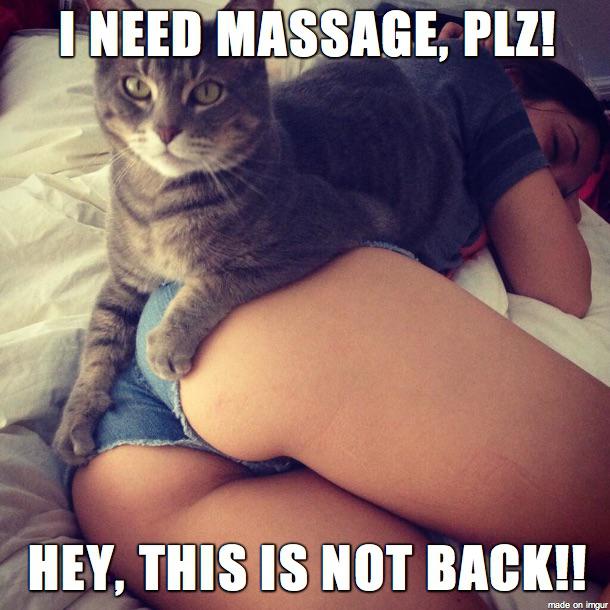 f247728d63194df82511d88ac70b213c