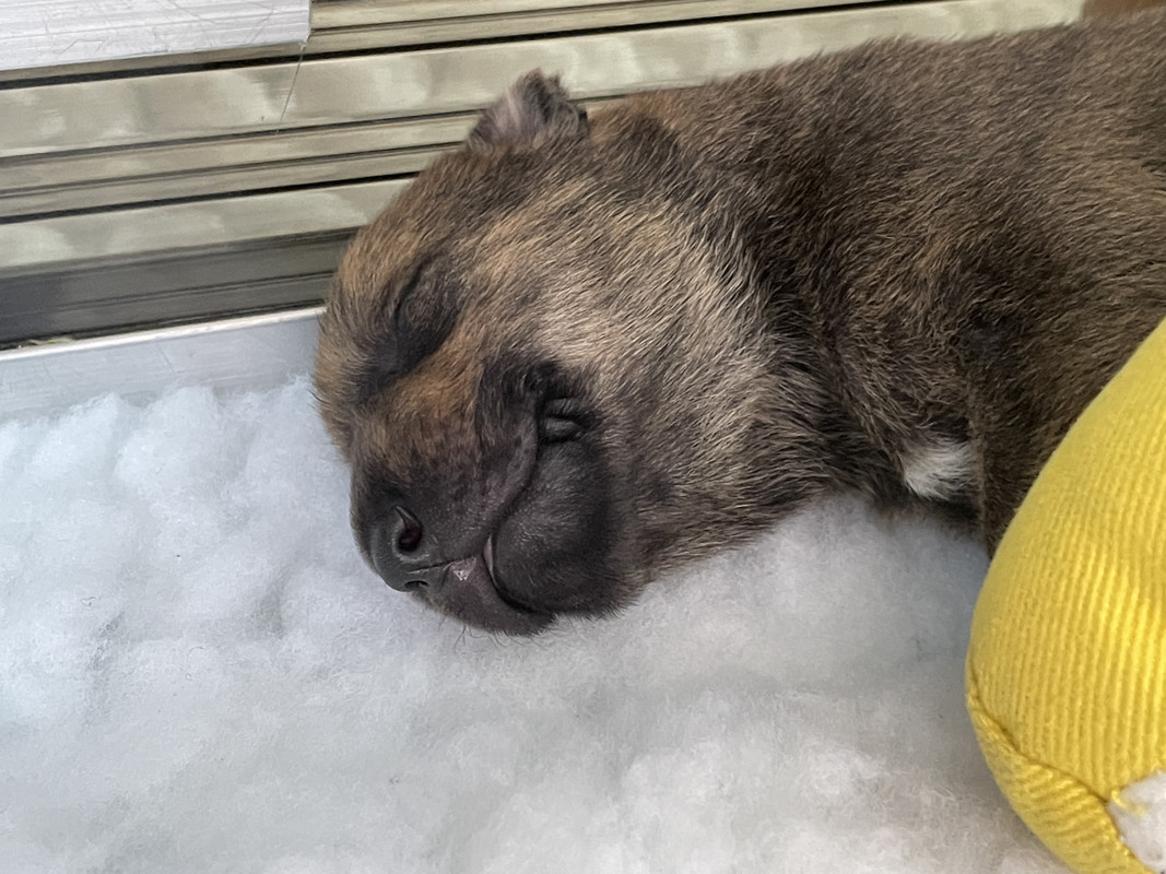 B6597C13-D94D-4BAD-8AC2-971F450641D5