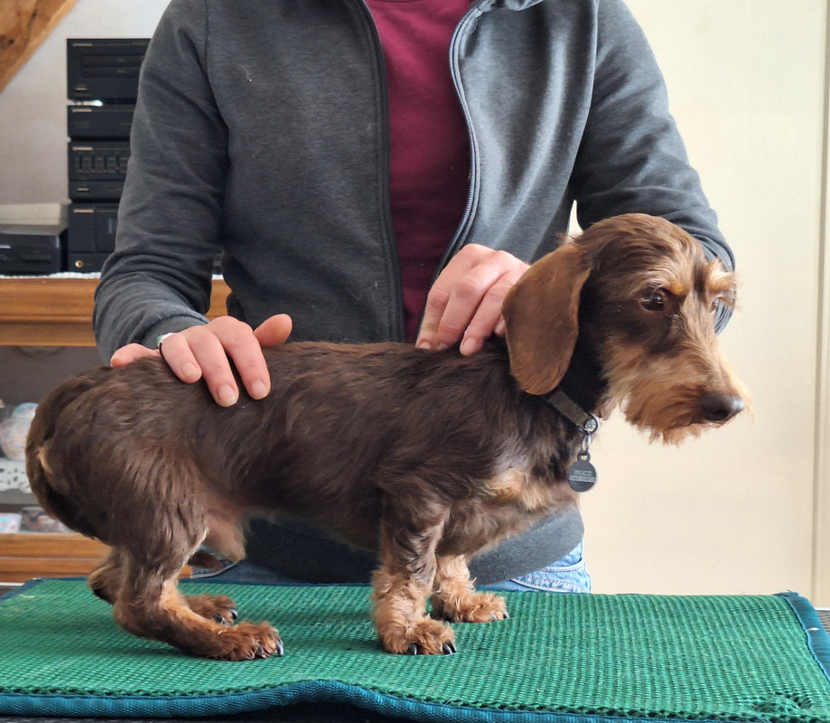 [Image: 20240702-163904.jpg]