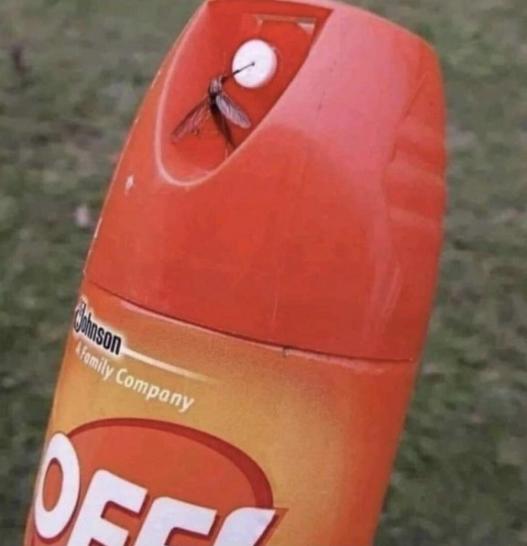 mueckenspray.jpg
