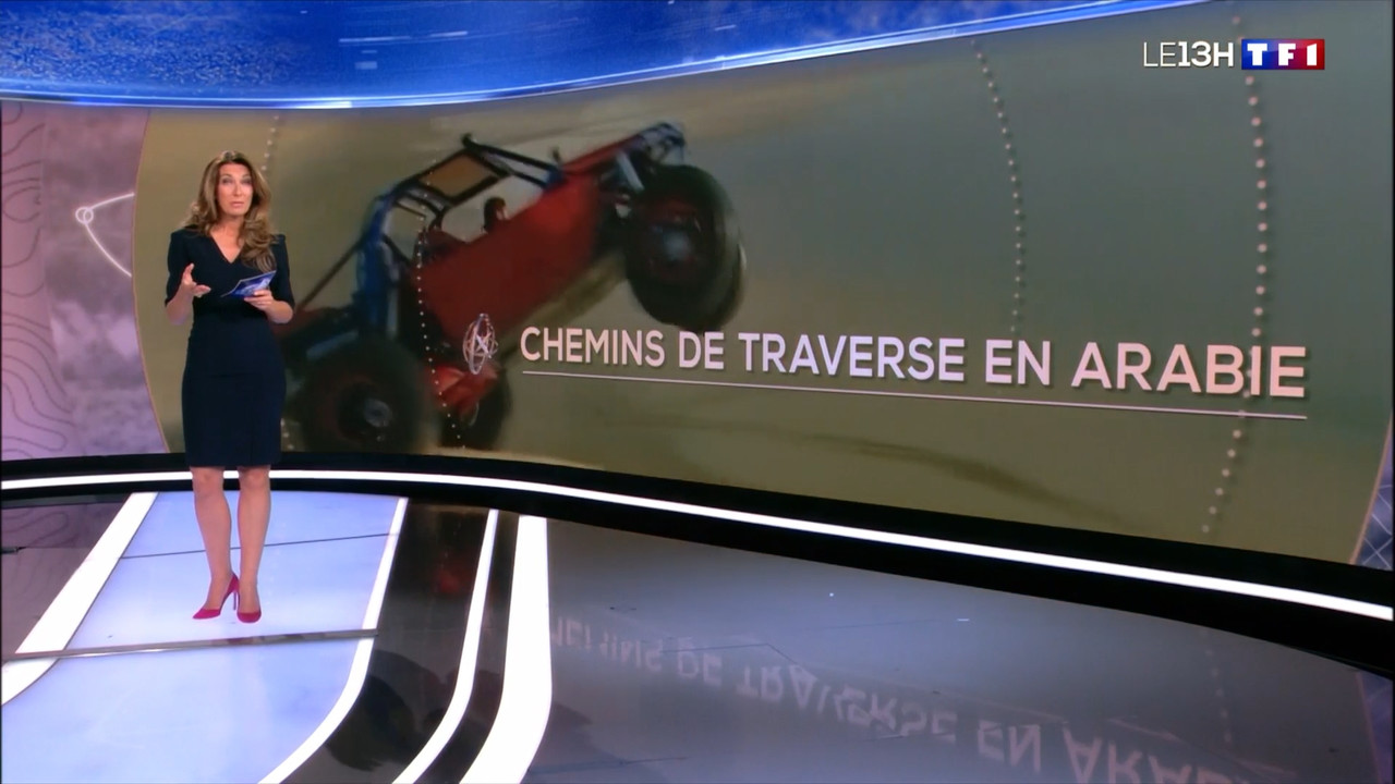 2022-11-20_13_00_TF1_Le-13h.mp4_snapshot_22.44.185