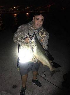 Pier Salmon