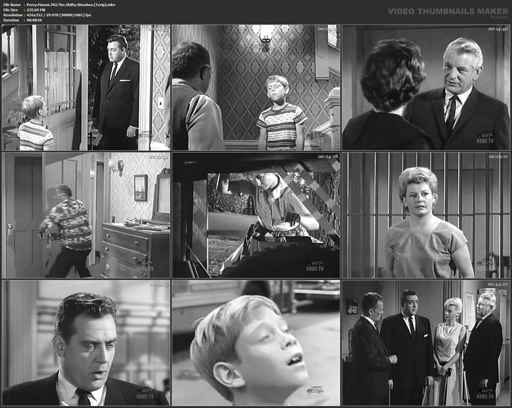 Perry.Mason.702.The.Shifty.Shoebox.(Tvrip).mkv