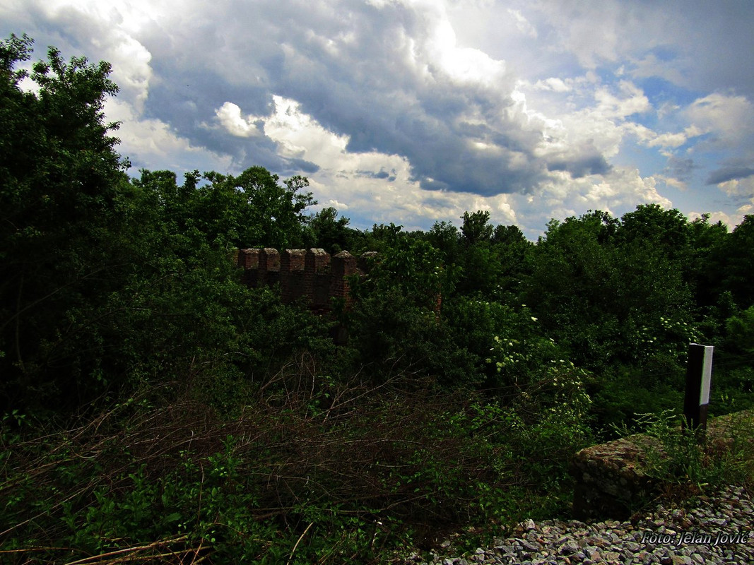 197. Pruga Zaječar-Vražogrnac