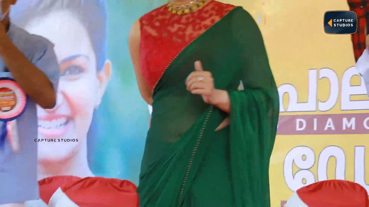 Honeyrose Hot sexy in saree.mkv_snapshot_00.47.896