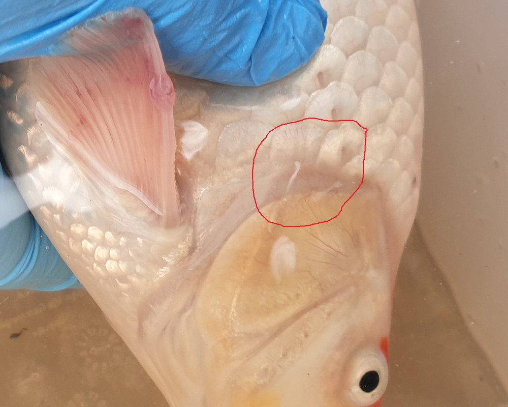 20190527_175029 - Zoom