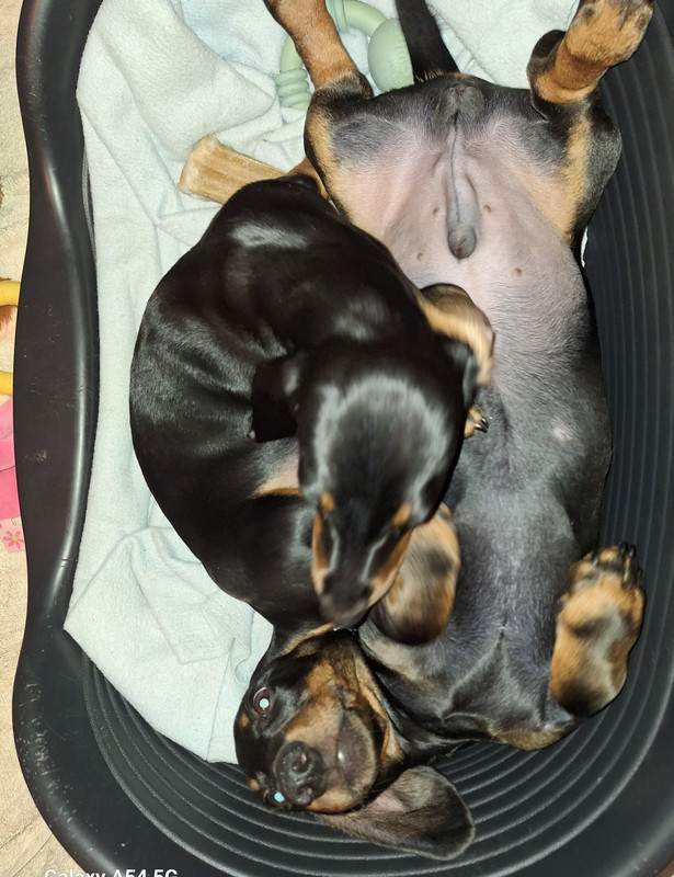 [Image: 20241016-210732.jpg]