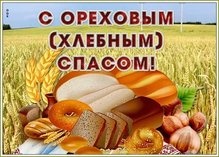 https://i.postimg.cc/Pf9r2dWm/i.webp
