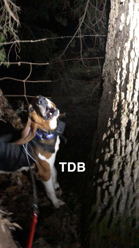 A10C5FA9-0350-4ED8-8253-1A4D5C313785