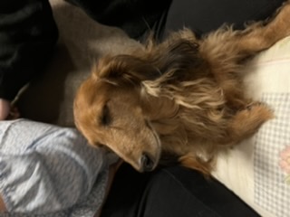 [Image: 433-FAA2-D-2560-4-B6-C-8-D3-A-9036783-B7-E8-F.jpg]