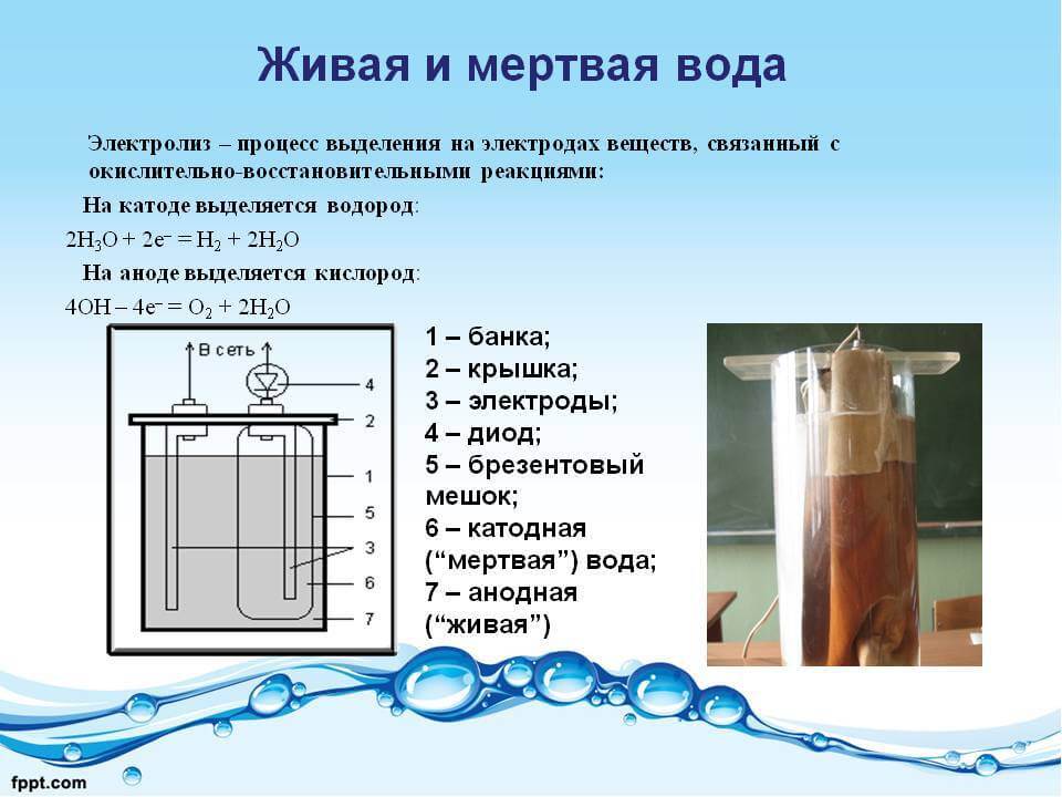 Живая и мёртвая вода - интересные и поразительные факты Живая и мёртвая вода - интересные и поразительные факты