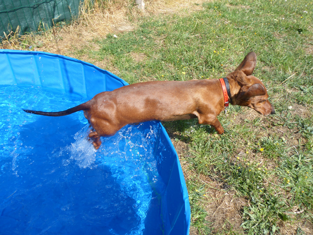 [Image: P1030425.jpg]